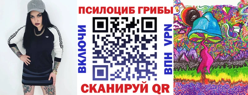 Галлюциногенные грибы мицелий  OMG онион  Приозерск 
