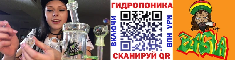 Шишки марихуана SATIVA & INDICA  купить наркоту  Приозерск 